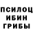 Галлюциногенные грибы MAGIC MUSHROOMS Forsaj GO
