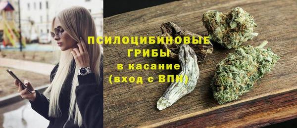 крисы Алзамай