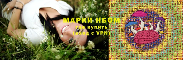 крисы Алзамай