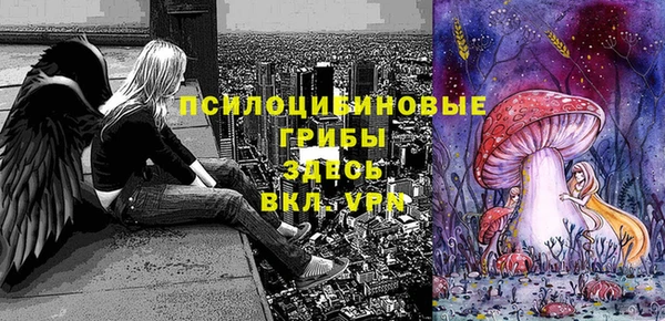 хмурый Алексеевка