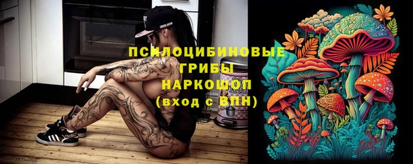 крисы Алзамай