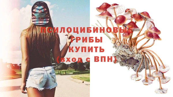 хмурый Алексеевка