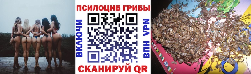 Псилоцибиновые грибы мицелий  KRAKEN ссылка  Щигры 